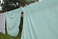 light green blue bed sheets hanging on clothesline with pink and purple clips Royalty Free Stock Photo