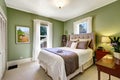 Light green elegant bedroom interior