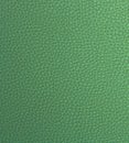 Light Green Fake Leather