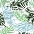 light green gark green and blue palm leaves on a white background exotic tropical hawaii pastel summer seamless pattern vector Royalty Free Stock Photo