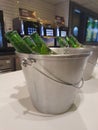 Light green glass beer bottles in a metal bucket with ice on a bar counter . Royalty Free Stock Photo