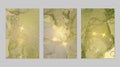 Set of backgrounds for banner, poster design with light green and golden marble pattern Royalty Free Stock Photo