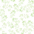 Light green leaves. Pastel repeated pattern. Watercolor Royalty Free Stock Photo