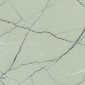 A light green marble surface with dark gray and white fracture lines Royalty Free Stock Photo