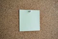 A light green paper note on a cork board, attached with a white pushpin. Copy space Royalty Free Stock Photo