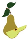 A light green color pear, vector or color illustration