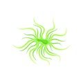 Light green plankton with long tentacles. Vector illustration on white background.