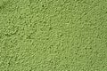 Light green roughcast wall texture