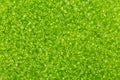 Light green seed beads for background or texture. Royalty Free Stock Photo