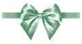 Light green silk bow with ribbon decoration for gif Royalty Free Stock Photo