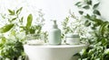 Natural Skincare Products with Greenery. Beauty routine, spa. Royalty Free Stock Photo