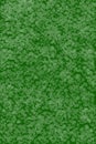 Light Green transparent small leaves background