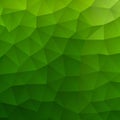 Light Green vector blurry hexagon pattern. Creative geometric illustration in Origami style with gradient. The template can be Royalty Free Stock Photo