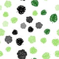 Light Green vector seamless doodle background with flowers, leaves. Royalty Free Stock Photo