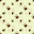 Light green watercolor background with red crossed stripes and pine cones with spruce green needles nature seamless pattern