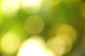 Light green with yellow tint bokeh Royalty Free Stock Photo