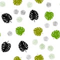 Light Green, Yellow vector seamless abstract background with flowers, leaves. Royalty Free Stock Photo