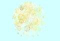 Light Green, Yellow vector texture with disks, lines Royalty Free Stock Photo