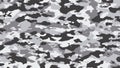 Light grey or black white camouflage. Military camouflage Royalty Free Stock Photo