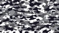 Light grey or black white camouflage. Military camouflage Royalty Free Stock Photo