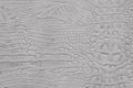 Light grey color animal snake print texture leather background Royalty Free Stock Photo