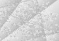 Light grey grunge polygonal tech abstract background