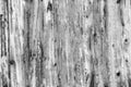 Light Grey Old Log Cabin Wall Texture. Dark Rustic House Log Wall. Horizontal Timbered Background Royalty Free Stock Photo