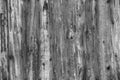 Light Grey Old Log Cabin Wall Texture. Dark Rustic House Log Wall. Horizontal Timbered Background Royalty Free Stock Photo