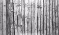 Light Grey Old Log Cabin Wall Texture. light Rustic House Log Wall. Horizontal Timbered Background Royalty Free Stock Photo