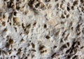 Light grey stone porous background texture limestone Royalty Free Stock Photo