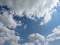 Light Grey and White Multiple Cumulus Fluffy clouds in the Blue Sky behind green leaves from a tree top