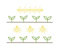 Light growth seedling. Growing seedlings. Plant shoots. Vector hand-drawn illustration.