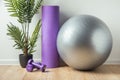 Light and heavy steel dumbbells, fitness ball and other sports equipment on the wooden floor in the gym. Fitness gear in the home Royalty Free Stock Photo