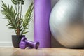 Light and heavy steel dumbbells, fitness ball and other sports equipment on the wooden floor in the gym. Fitness gear in the home Royalty Free Stock Photo
