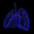 Light hologram. Pain in the lungs from polygons, triangles, dots and lines. The lung is a low polycomposite structure