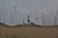 Light house in the Reeds
