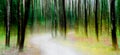 Light illuminated path through a lush green forest abstract panning style Royalty Free Stock Photo