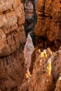 Light Illuminates Hoodoo Formations in Bryce Canyon