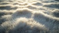 Light Illuminates Soft Fluffy Gray Fur Texture Royalty Free Stock Photo