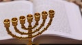 Menorah and Torah