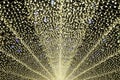 Light Illumination Tunnel show in Nabana no sato. Royalty Free Stock Photo