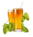 Light India Pale Ale beer in two glasses with branch hops cones isolated on white background