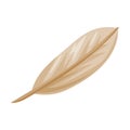 Light Indian Feather as Wild West Object Vector Illustration Royalty Free Stock Photo