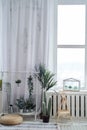 Light interior in the style of minimalism with white walls, curtains and floor. Lots of green plants and cacti.The green