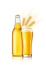 Light lager beer in a bottle and in a glass with spikelets