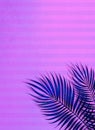 Light lilac pink violet blue striped abstract background with palm leaves. Royalty Free Stock Photo