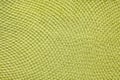 Light lime-green textile background. Royalty Free Stock Photo