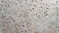 This is a light limestone slab with traces of shells