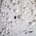 This is light limestone slab with traces of shells. Shell rock texture. Natural stone background
