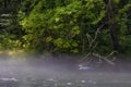 Light low fog along the South Holston River in Bristol, Tennessee Royalty Free Stock Photo